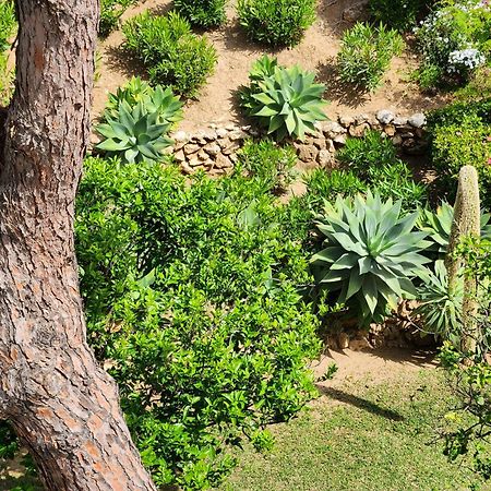 Elena Flat A Little Paradise Right On The Beach Sitio de Calahonda Extérieur photo