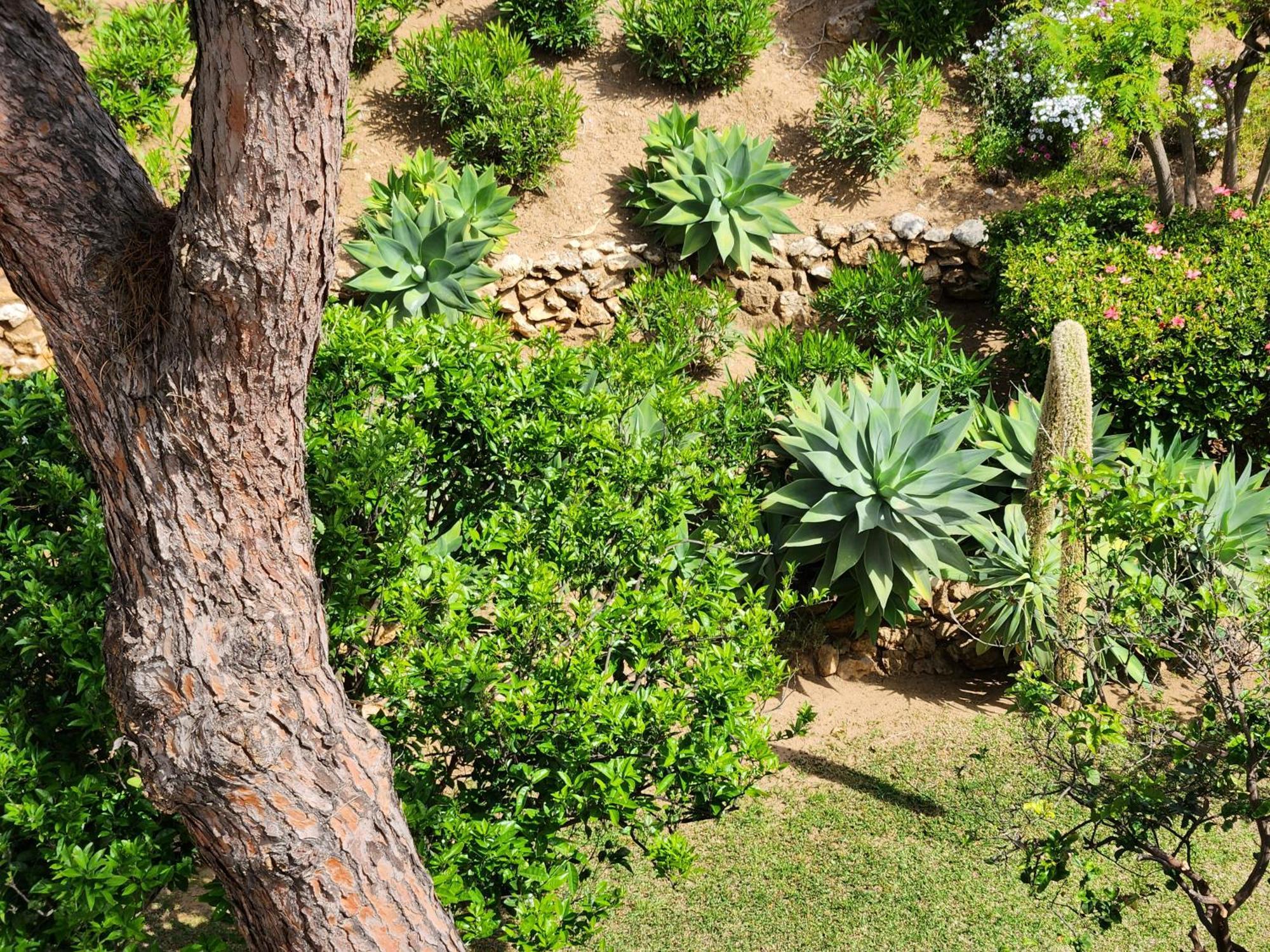 Elena Flat A Little Paradise Right On The Beach Sitio de Calahonda Extérieur photo