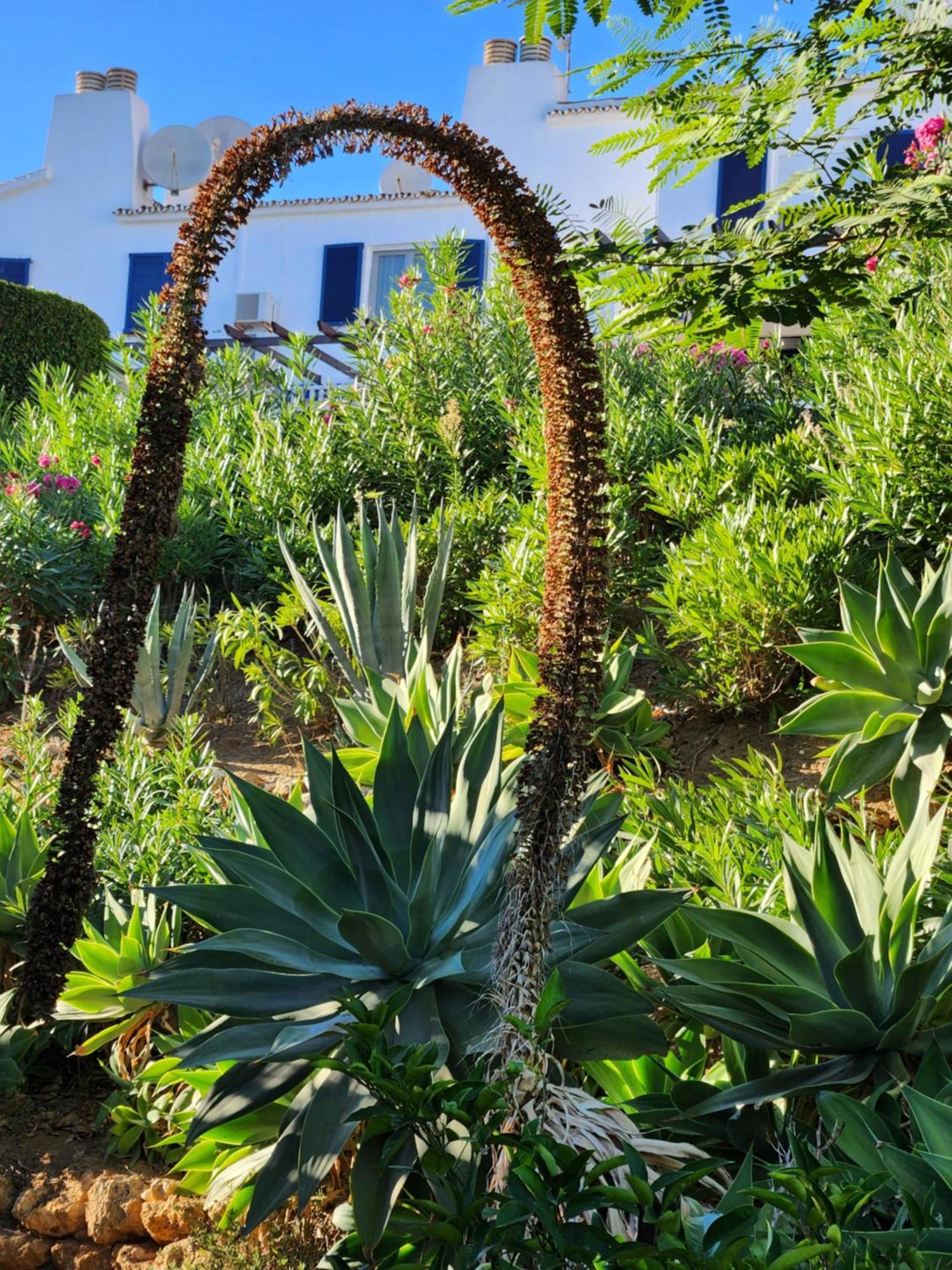 Elena Flat A Little Paradise Right On The Beach Sitio de Calahonda Extérieur photo
