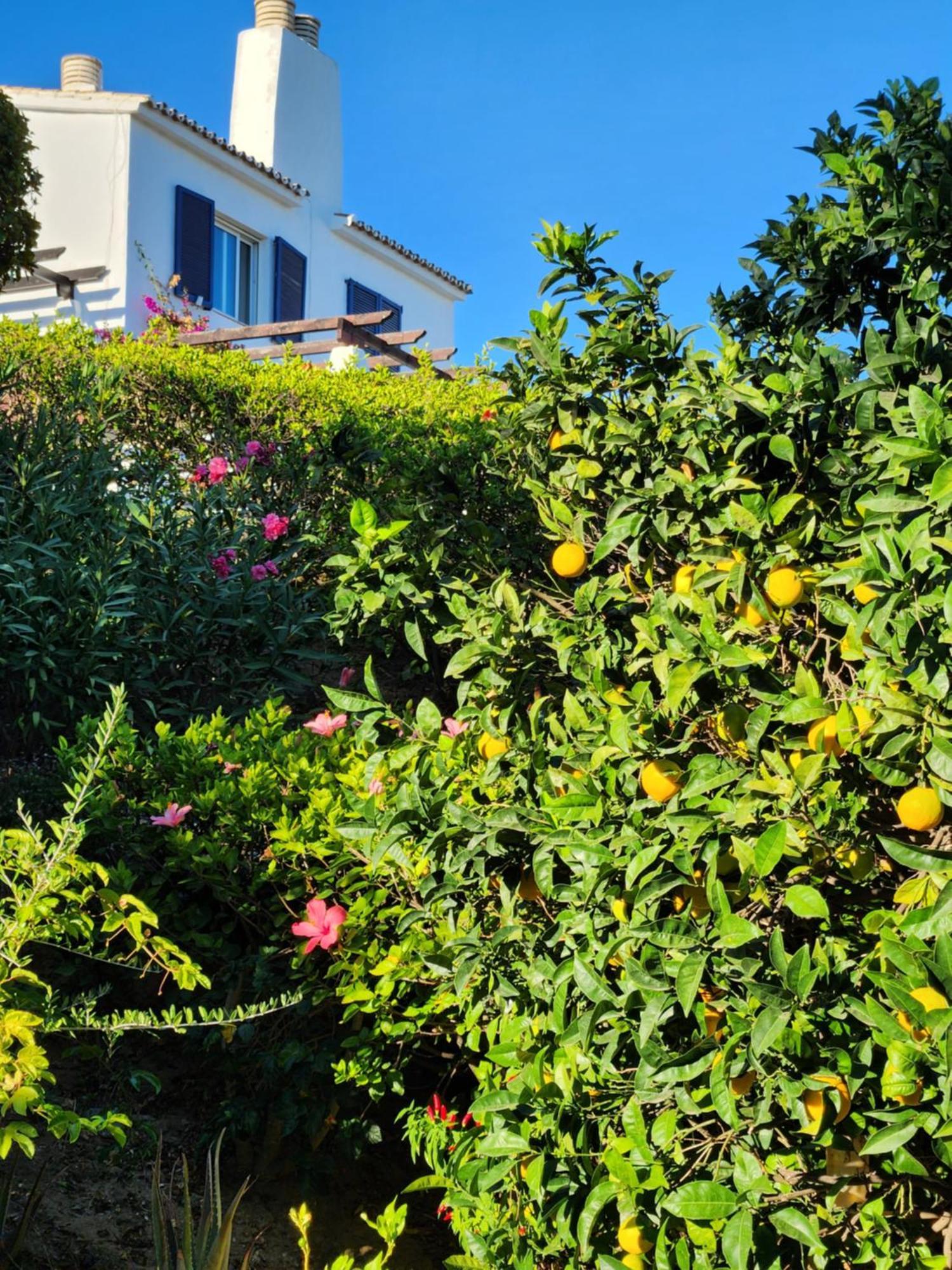 Elena Flat A Little Paradise Right On The Beach Sitio de Calahonda Extérieur photo